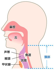 咽喉頭神経症